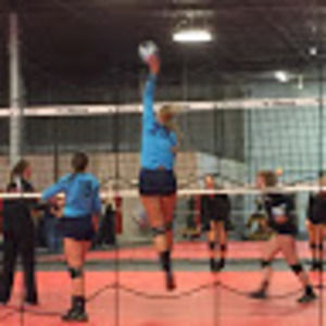 Meet your Posher, Darina